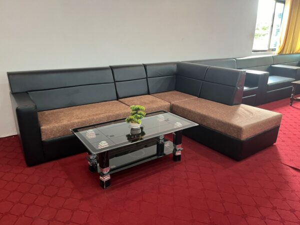 L shaped Sofa With Sleeping Couch