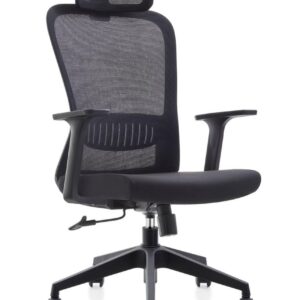 UBL Chair With Head