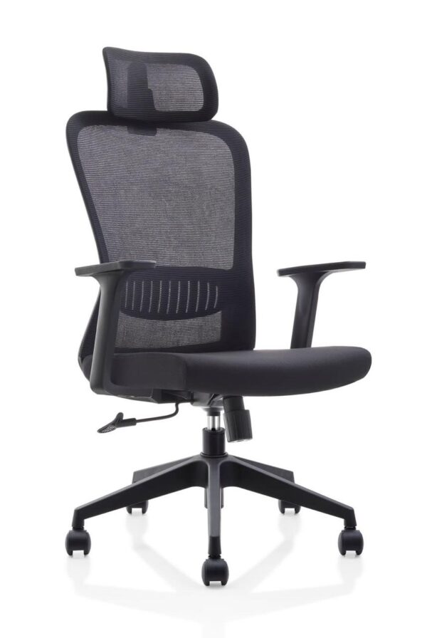 UBL Chair With Head