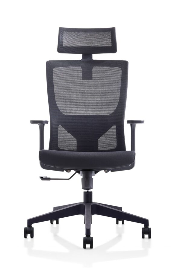 UBL Boss Chair With Adjustable LR Head Sync Tilt Mechanism - Image 2