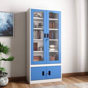Alina Type Modern Book Case