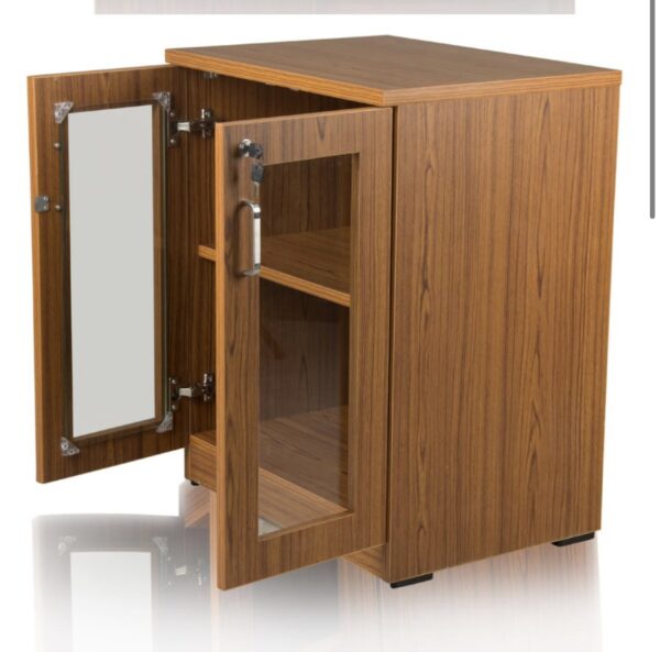 Wooden Book /File Rack With Glass Door