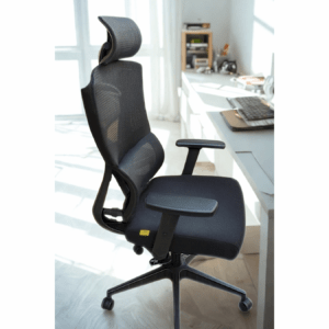 Ergonomic Back Spring Support UBL Chair