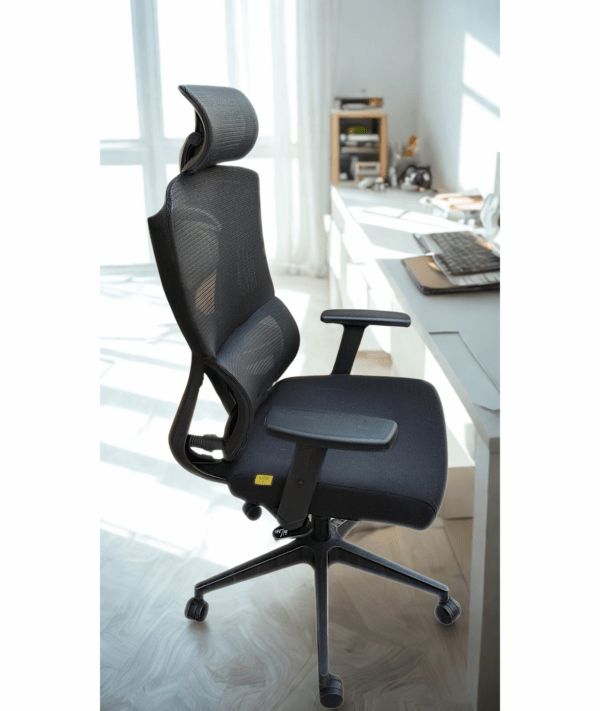Ergonomic Back Spring Support UBL Chair